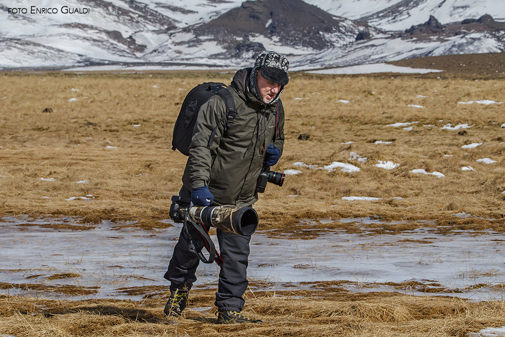 Hunting swamps in Iceland